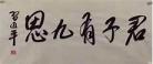 君子有九思txt